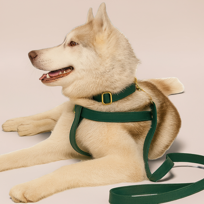 Dog Harness – No-Pull, Adjustable & Sustainable