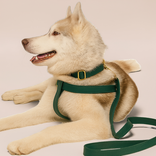 Dog Harness – No-Pull, Adjustable & Sustainable