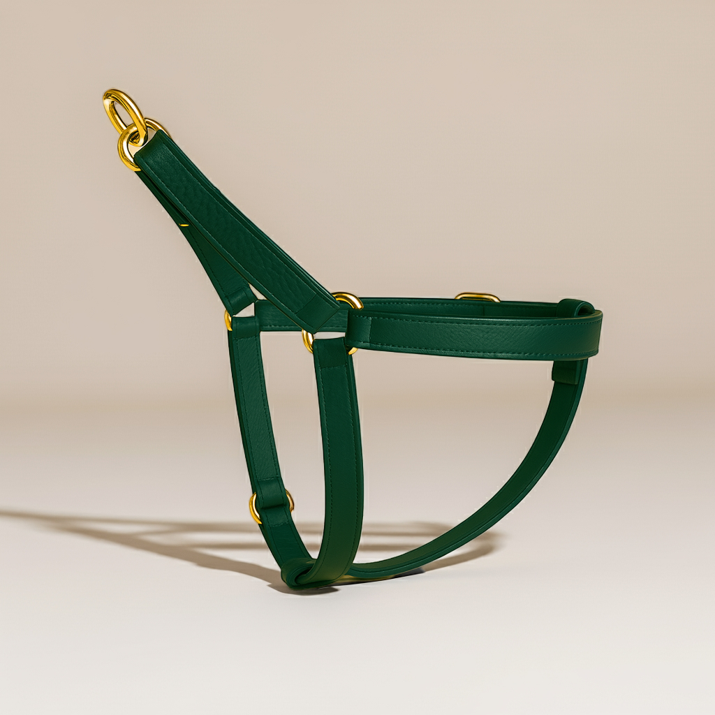 Dog Harness – No-Pull, Adjustable & Sustainable